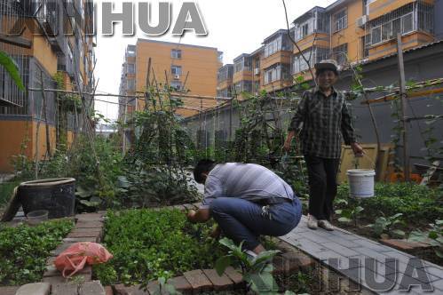 http://yisela.cn/uploadfile/2014/0714/20140714024832334.jpg