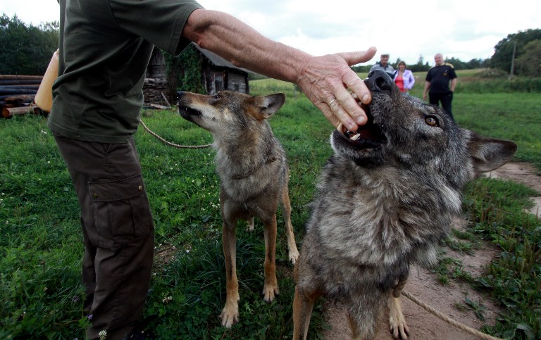 http://yisela.cn/uploadfile/2014/0819/20140819042219573.jpg