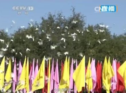 http://yisela.cn/uploadfile/2014/0903/20140903023541658.jpg