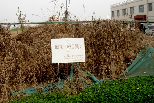 http://yisela.cn/uploadfile/2014/0910/20140910113709853.jpg