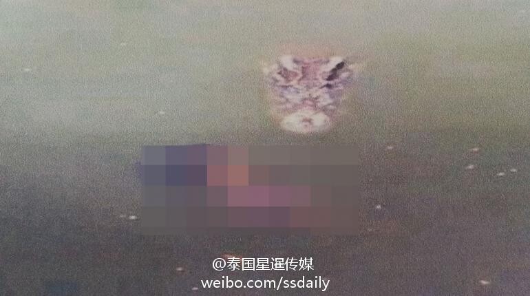 http://yisela.cn/uploadfile/2014/0916/20140916022209991.jpg