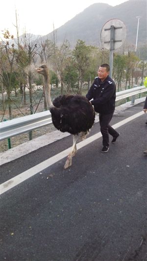 http://yisela.cn/uploadfile/2014/1223/20141223100232540.jpg