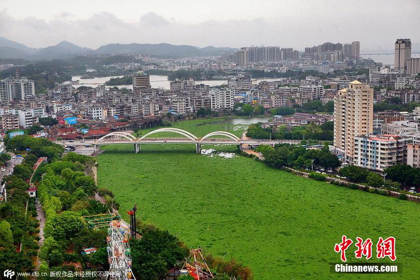 http://yisela.cn/uploadfile/2015/0410/20150410114936442.jpg