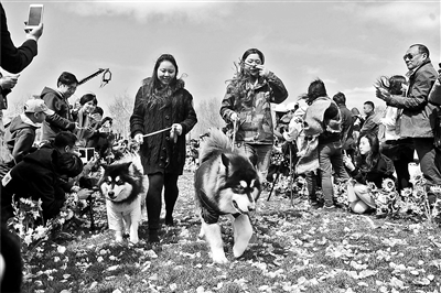 http://yisela.cn/uploadfile/2015/0413/20150413022443135.jpg
