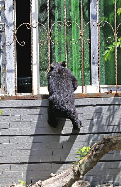 http://yisela.cn/uploadfile/2015/0507/20150507104027358.jpg