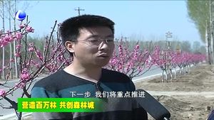 大廠縣高質(zhì)量打好造林綠化攻堅戰(zhàn)