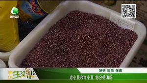 赤小豆和紅小豆 您分得清嗎？