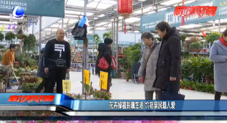 花卉綠植扮靚生活 價(jià)格親民惹人愛(ài)