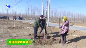 三河市皇莊鎮(zhèn)掀起春季植樹(shù)造林熱潮