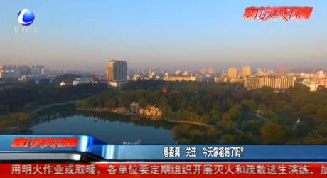 零距離關(guān)注：今天你植樹(shù)了嗎？