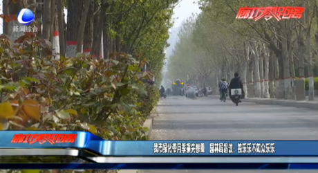 我市綠化帶月季損失慘重 園林局倡議：獨(dú)樂(lè)樂(lè)不如眾樂(lè)樂(lè)