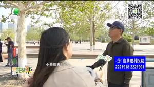 春光正好 放風箏正當時