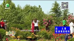 本周以多風天氣為主