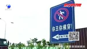 “被撞死翹翹”另類安全標(biāo)注惹爭議