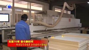 霸州市：以新舊動能轉換促產(chǎn)業(yè)結構優(yōu)化升級 全力推進高質量發(fā)展