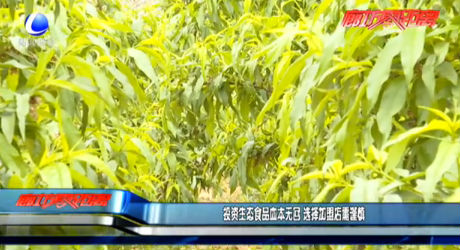 投資生態(tài)食品血本無回 選擇加盟店需謹(jǐn)慎