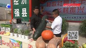 永清縣龍虎莊鄉(xiāng)舉辦“村歌社舞慶豐收 鄉(xiāng)村振興迎華誕”慶?；顒? />
													</a>
						<dl>
							<dt><a href=