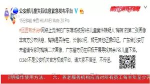 辟謠來了！“梅姨”畫像非公安部官方發(fā)布 不傳謠 不信謠
