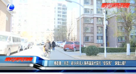 零距離·關(guān)注：超14天無人領(lǐng)養(yǎng)流浪犬實(shí)行“安樂死” 你怎么看？