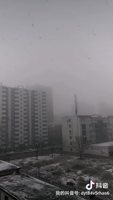 廊坊出現(xiàn)今冬最大降雪！