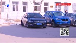 春節(jié)租車(chē)熱 商務(wù)車(chē)成“新寵”