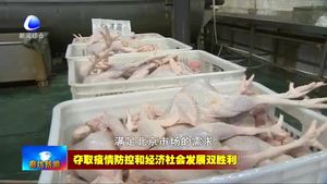 固安迪諾斯環(huán)?？萍加邢薰荆悍馈耙摺鄙a(chǎn)兩手抓 加緊復(fù)工生產(chǎn)