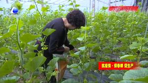田間地頭忙春耕 不負春光搶農時