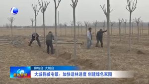 大廠縣邵府鎮(zhèn)：種下經濟林 栽上搖錢樹
