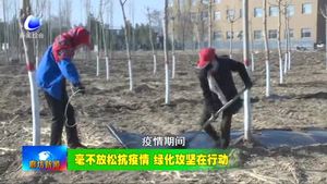 我市各地?fù)屪ゴ杭居欣麜r(shí)節(jié) 植樹(shù)造林美化家園