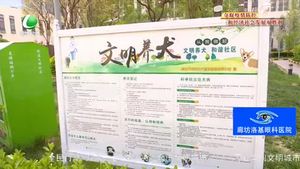 創(chuàng)城，我們一起：專項整治在行動 引導(dǎo)市民依法文明養(yǎng)犬