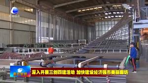 我市召開政法機(jī)關(guān)護(hù)航臨空和重點項目建設(shè) 加強(qiáng)社會治理工作會議