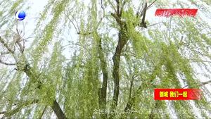 城市環(huán)境共同維護 市容整治人人有責(zé)
