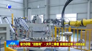 奮力奪取“雙勝利”·大干二季度 實現(xiàn)雙過半一把手訪談：大城縣委書記
