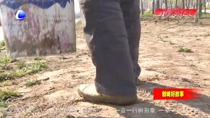 路貴?。河媚_步丈量土地 用汗水守護(hù)碧水