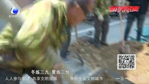 【建設(shè)者說】宣嘉悅---補(bǔ)植布景 扮靚城市風(fēng)貌
