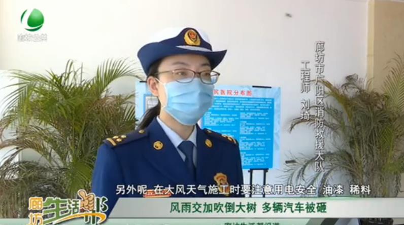 風(fēng)雨交加吹倒大樹 多輛汽車被砸