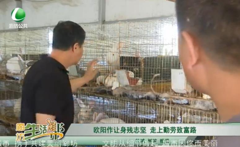 歐陽作讓身殘志堅(jiān) 走上勤勞致富路