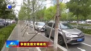 我市繼續(xù)增劃停車位 緩解市民停車難問(wèn)題