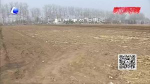 讓“摞荒”土地活起來  助農民增收