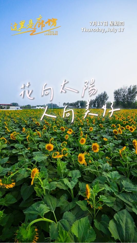 【這里是廊坊】花向太陽 人向美好