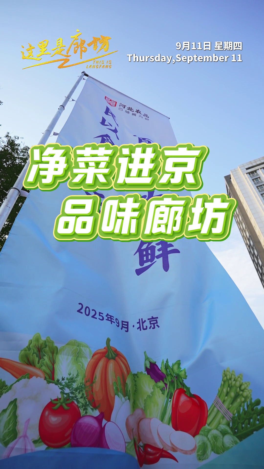 【這里是廊坊】凈菜進京 品味廊坊